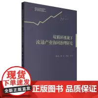 双循环视域下流通产业协同治理研究