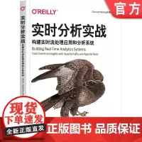 正版 实时分析实战:构建实时流处理应用和分析系统 Mark Needham 内容全面 精心编排 大咖 9787111