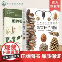 2册 世界上不可思议的果实种子图鉴 我的大自然观察笔记 植物观察笔记 名校小学生手绘思维观察训练 小学生课外自然植物科普