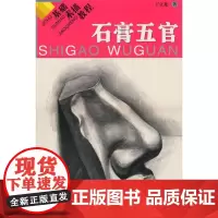 基础素描教程:石膏五官 丁立龙 著作 美术技法 艺术 中国标准出版社