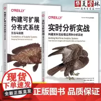 2册 实时分析实战 构建实时流处理应用和分析系统+构建可扩展分布式系统 方法与实践 可扩展系统软件架构方法和分布式技术教