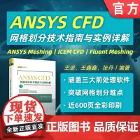 ANSYS CFD网格划分技术指南与实例详解——ANSYS Meshing/ICEM CFD/ Fluent