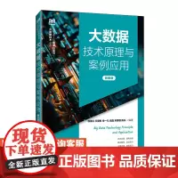 [店教材] 大数据技术原理与案例应用(微课版)9787115638991 鄂海红 王冀彬 朱一凡 尚晶 宋美 人民邮电出
