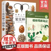 正版 2册 世界上不可思议的果实种子图鉴+植物观察笔记 名校小学生手绘思维观察训练 小学生课外自然植物科普读物图书籍