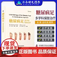 糖尿病足 多学科保肢治疗 赵宏谋 鹿亮 张明珠主译 糖尿病足分类诊断临床评估规范化保肢治疗策略9787523604854