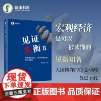 见证失衡Ⅱ 双顺差的结束 人民币国际化和美元武器化 余永定 著 人民币汇率 资本流动 国际收支当中的核心问题 电子工业出