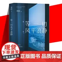 正版 等一切风平浪静 刘同全新随笔 谁的青春不迷茫我在未来等你一个人就一个人一束烟火青春文学 为你的深夜放一束烟火 博集