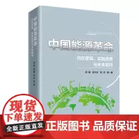 中国能源革命:内在逻辑、实践进展与未来取向9787513678117中国经济出版社