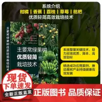 正版 主要常绿果树优质轻简栽培技术 果树产业栽培技术发展现状 二十二种果树轻简化管理装备 柑橘香蕉荔枝草莓枇杷轻简栽培图