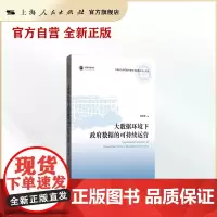 大数据环境下政府数据的可持续运营