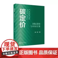 碳定价 邢丽 著