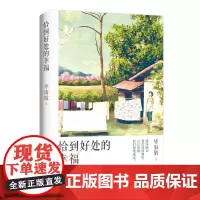 恰到好处的幸福 知名心理咨询师毕淑敏作品中国文学散文随笔温暖心灵的女性励志读物中国现当代文学丛书