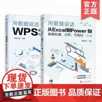 赠60节视频课 2册 用数据说话 从Excel到Power BI数据处理分析可视化+WPS表格数据处理与分析一本通 职场