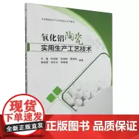 氧化铝陶瓷实用生产工艺技术 文瑾