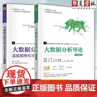 2册 大数据分析导论 第2版+实验指导与习题集 第二版 金大卫 计算机技术入门 清华大学教材教程书籍 978730265