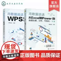 2册 用数据说话 从Excel到Power BI数据处理 分析 可视化一本通 用数据说话 WPS表格数据处理与分析一本通