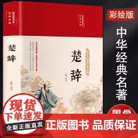 楚辞 弘丰 著 中国现当代文学 文学 青岛出版社