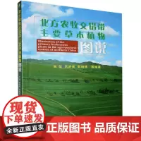 北方农牧交错带主要草本植物图说 王堃 吕进英 郭丽珠 编 9787565524028 中国农业大学出版社