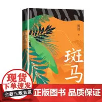 斑马 傅真着 口碑书藏地白皮书作者傅真睽违七年回归之作金龟换酒旅行游记婚姻家庭生育治愈人民文学出版社正版