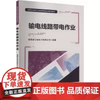 输电线路带电作业 国网浙江省电力有限公司 编 工业技术其它专业科技 正版图书籍 企业管理出版社