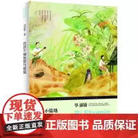 孜孜不倦地爱与被爱 毕淑敏 著 散文 文学 中国青年出版社