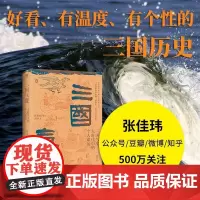三国气度 大时代中的个人命运 张佳玮 广西师范大学出版社