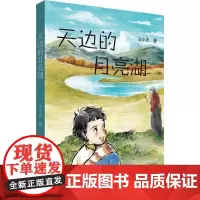 天边的月亮湖 王小忠 著 著 中国现当代文学 文学 青海人民出版社