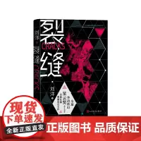 裂缝刘洋著人民文学出版社