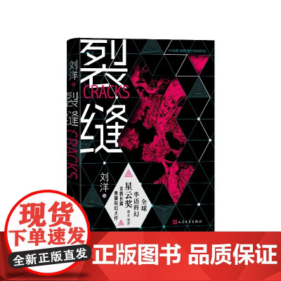 裂缝刘洋著人民文学出版社