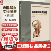 麻醉解剖实物图谱第2版 头颈部阻滞麻醉应用解剖 上肢神经阻滞麻醉解剖 肋间隙内结构 主编 纪荣明 人民卫生出版社9787