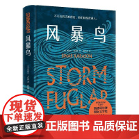 风暴鸟 [冰岛]埃纳尔·卡拉森著湖南文艺出版社现当代文学小说纪实书籍