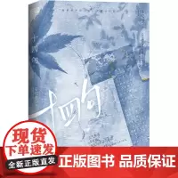 十四句 多吃维C 著 青春小说 文学 江苏凤凰文艺出版社