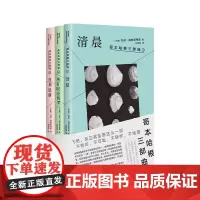 [余杭新华正版]哥本哈根三部曲(共3册) (丹麦)托芙·迪特莱弗森著 清晨+所有明亮的梦+白昼坠落 回忆录成长故事