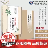 医宗金鉴外科心法要诀白话解及医案助读(医宗金鉴白话解及医案助读丛书)古今中医外科医案发微中医外科经典医案治法用药外科疼痛