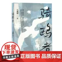 [余杭新华正版]骑鸥者(精) 作者石斌斌创作的诗歌作品集