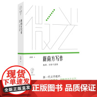 新南方写作:地缘、经验与想象