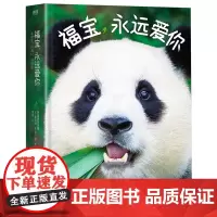 福宝,永远爱你