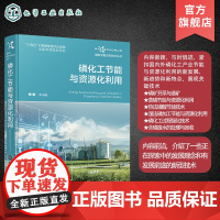 磷科学前沿与技术丛书 磷化工节能与资源化利用 磷化工节能与资源化利用关键技术 黄磷生产工艺 黄磷尾气资源化利用 磷化工参