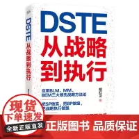 正版 DSTE 从战略到执行 胡红卫 DSTE管理变革 企业战略管理理论实践 BLM MM BEM三大领先战略方法论应用