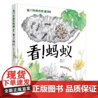 正版看!蚂蚁 家门外的自然课系列3-6-9岁幼儿童小学生暑假全彩插图