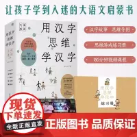 ]赠独立思维游戏练习册+180分钟《汉字思维》视频课程 用汉字思维学汉字(全套5册)大语文启蒙书 汉字老师教你学汉字
