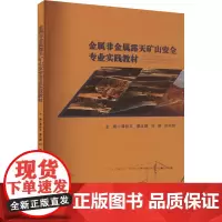 金属非金属露天矿山安全专业实践教材:谭钦文 等 编 大中专理科科技综合 大中专 重庆大学出版社