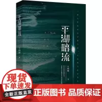 平湖暗流 王鸣隆 著 法学理论社科 正版图书籍 中国法制出版社