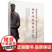 秦始皇兵马俑一号坑新出土彩绘陶质文物保护修复报告(2010-2022)