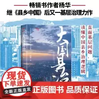 大国县治 杨华 继《县乡中国》后又一基层治理力作 基层问题 县乡治理逻辑 乡村振兴治理社会学书籍 东方出版社 正版