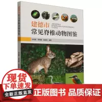 建德市常见脊椎动物图鉴 &2669
