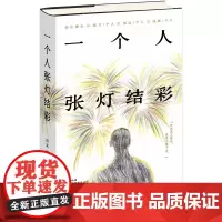 一个人张灯结彩 中国现代文学小说 田耳著上海文艺出版社获第四届鲁迅文学奖 另著戒灵/开屏术/衣钵/环线车/天体悬浮