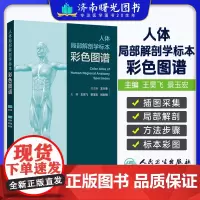 人体局部解剖学标本彩色图谱 头部表面结构 颞下颌关节 小脑的动脉 大脑大静脉及其属支 主编王昊飞等人民卫生出版社9787