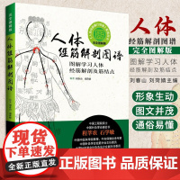 wf人体经筋解剖图谱 图解学习人体经筋解剖及筋结点 中医医学书籍 刘春山编著 中国科学技术出版社 中央保健会诊专家倾力