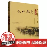 正版 文化德宏-综合卷 云南人民出版社